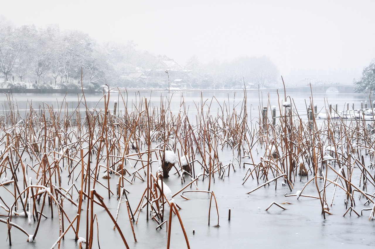 Residual Haunting: Echoes of the Past