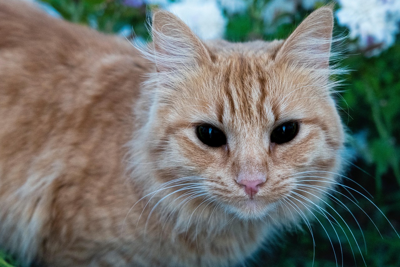 The Terrifying Truth About Demonic Possession