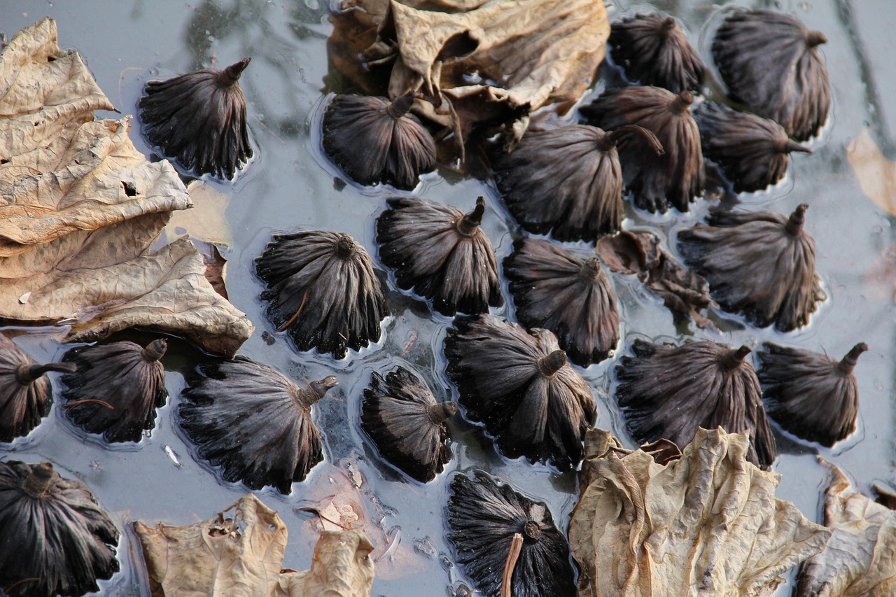 Decoding Residual Hauntings: A Scientific Perspective