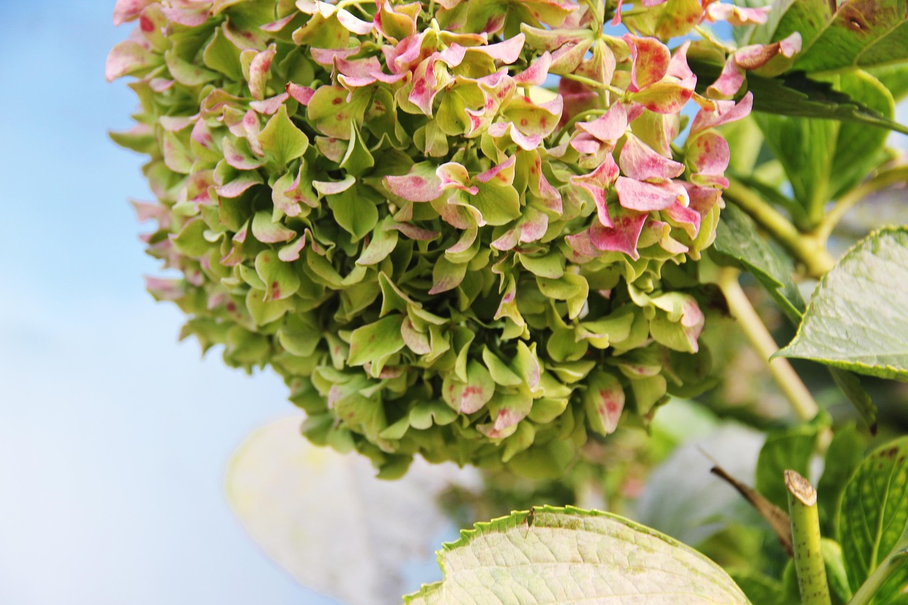 What is a Residual Haunting? Separating Fact from Fiction